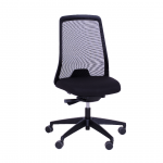 Møteromstol Every 172E-UA