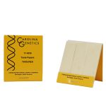 Smakspapir Tiourea, 100 stk